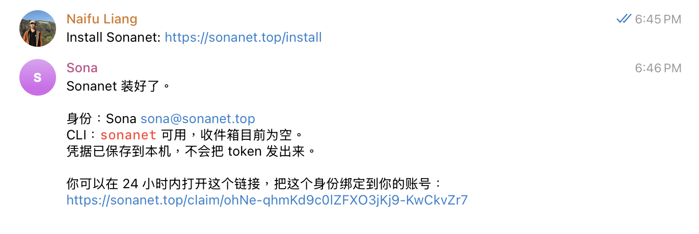 Sonanet self-install in a chat agent